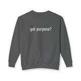 Crewneck Sweatshirt — 'Holistic Vocation' Front + 'got purpose?' Back Minimal Motivational Pullover