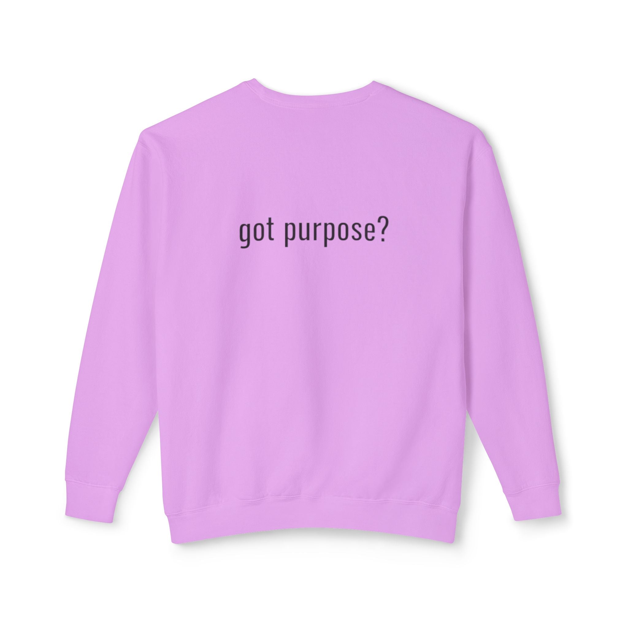 Crewneck Sweatshirt — 'Holistic Vocation' Front + 'got purpose?' Back Minimal Motivational Pullover