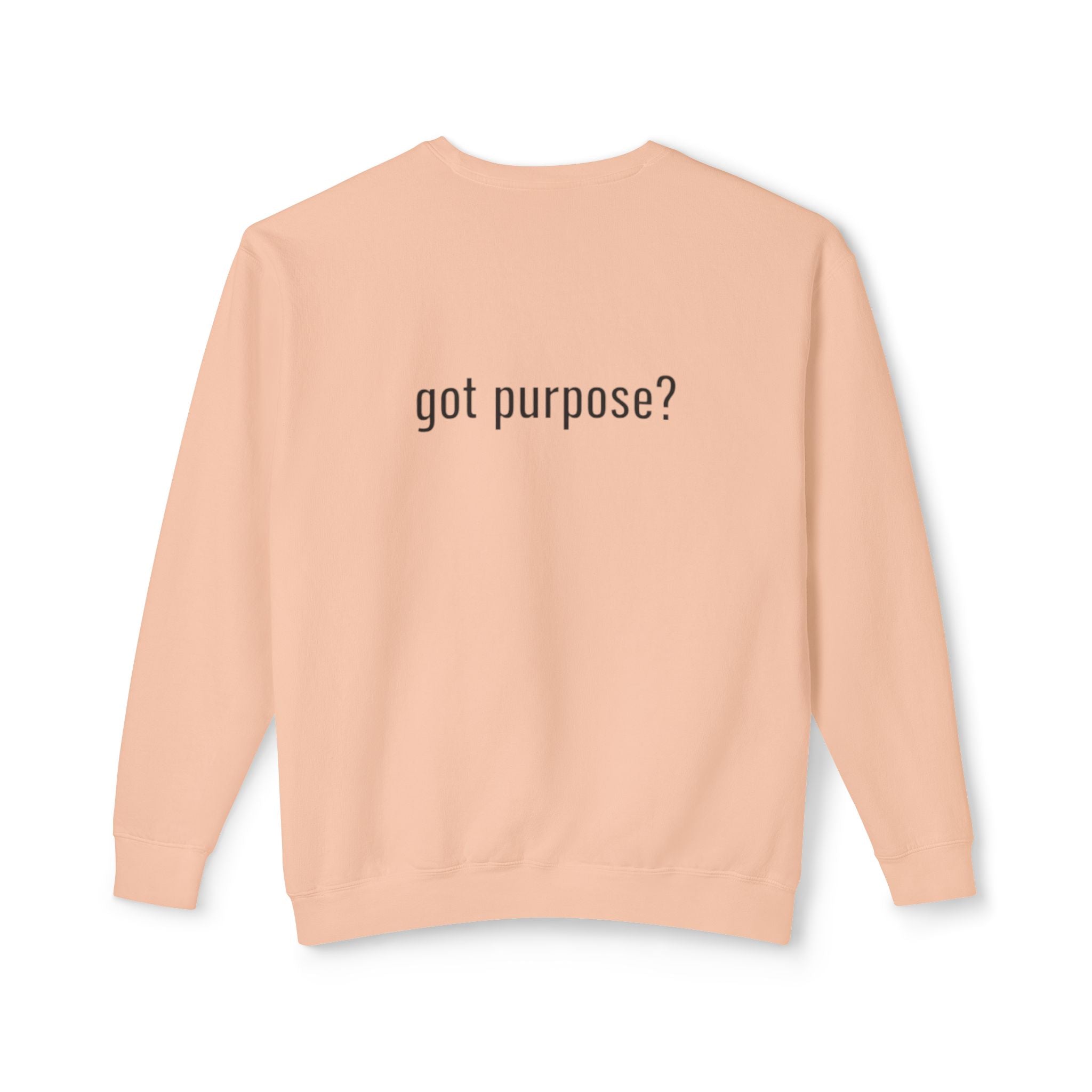 Crewneck Sweatshirt — 'Holistic Vocation' Front + 'got purpose?' Back Minimal Motivational Pullover